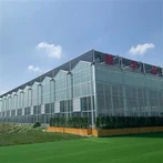 Tithe Teasa Beaga Gloine