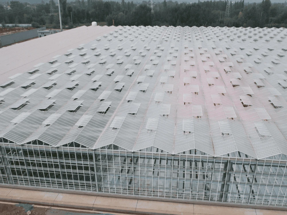 China Venlo Glass Greenhouse For Central Asia China Venlo Glass Greenhouse For Central Asia